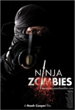 Ninja Zombiler (2010) afişi