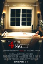 Only for One Night (2016) afişi