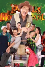 Pidol's Wonderland (2010) afişi