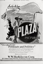 Petticoats And Politics (1918) afişi