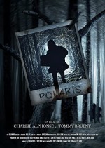 Polaris (2022) afişi Polaris (2022) afişi