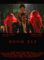 Room 213 (2008) afişi