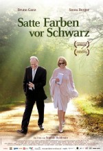Satte Farben Vor Schwarz (2010) afişi