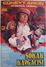 Sokak Kavgacısı Sokak Kavgacısı