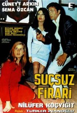 Suçsuz Firari (1966) afişi