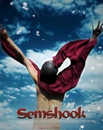 Semshook (2010) afişi