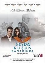 Sevda Kuşun Kanadında (2016) afişi