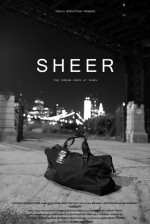 Sheer (2013) afişi