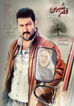 Şirin'in Kalesi (2019) afişi Şirin'in Kalesi (2019) afişi