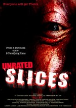 Slices (2008) afişi