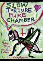 slow torture puke chamber  afişi