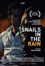 Snails in the Rain (2013) afişi