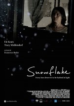 Snowflake (2014) afişi