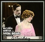 Social Briars (1918) afişi