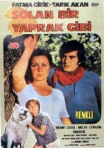 Solan Bir Yaprak Gibi (1971) afişi