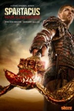 Spartacus: War of the Damned (2010) afişi