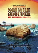 Square Grouper (2011) afişi