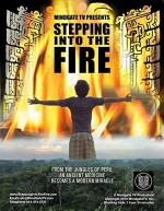 Stepping into The Fire (2011) afişi