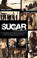 Sugar (2013) afişi