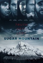 Sugar Mountain (2016) afişi
