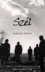 Szel (1996) afişi