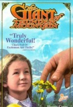 The Giant Of Thunder Mountain (1991) afişi