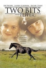 Two Bits And Pepper (1995) afişi
