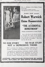 The Accidental Honeymoon (1918) afişi