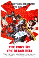 The Awaken Punch (1973) afişi
