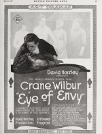 The Eye Of Envy (1917) afişi