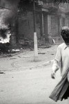 The Natural History of Destruction (2022) afişi The Natural History of Destruction (2022) afişi