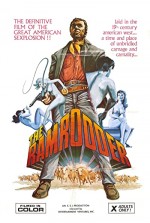 The Ramrodder (1969) afişi