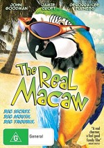 The Real Macaw (1998) afişi