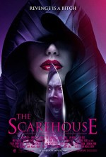 The Scarehouse (2014) afişi