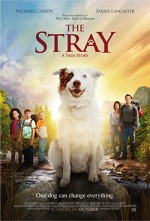 The Stray (2017) afişi