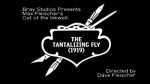 The Tantalizing Fly (1919) afişi