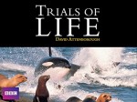 The Trials Of Life (1990) afişi