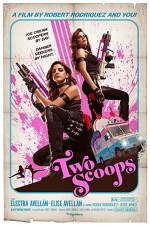 Two Scoops (2013) afişi