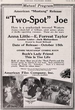 Two Spot Joe (1915) afişi