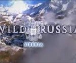 Vahşi Rusya: Sibirya  afişi