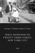 What Happened On Twenty-third Street, New York City (1901) afişi