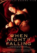 When Night Is Falling (1995) afişi