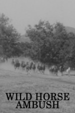 Wild Horse Ambush (1952) afişi