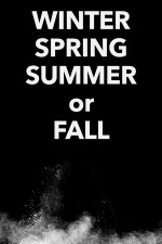 Winter Spring Summer or Fall (2024) afişi