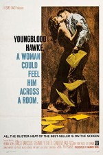 Youngblood Hawke (1964) afişi