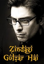 Zindagi Gulzar Hai (2012) afişi