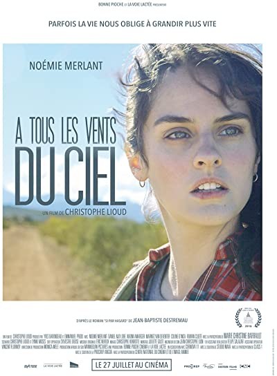 À tous les vents du ciel (2016) afişi À tous les vents du ciel (2016) afişi