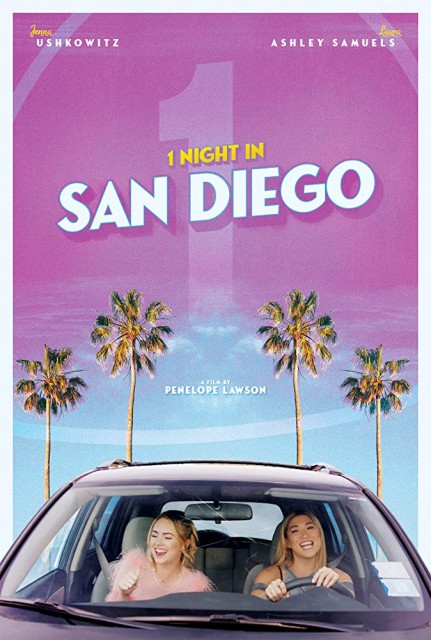 1 Night in San Diego afişi