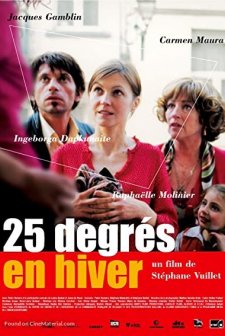 25 degrés en hiver (2004) afişi