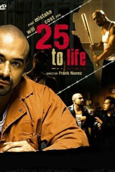 25 To Life (2008) afişi